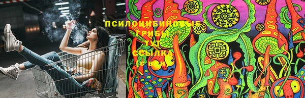 эйфоретик Арсеньев