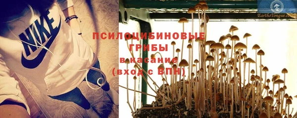 эйфоретик Арсеньев