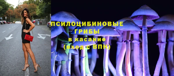 эйфоретик Арсеньев