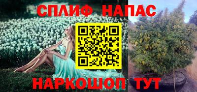 спайс Аргун