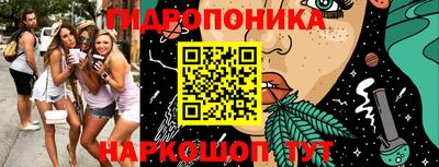 спайс Аргун