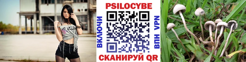Псилоцибиновые грибы Magic Shrooms  blacksprut как войти  Баксан 