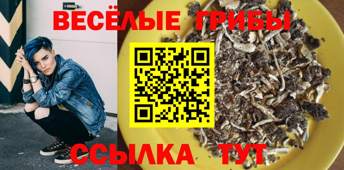 Баксан  Псилоцибиновые грибы MAGIC MUSHROOMS  Вход с VPN 